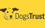 Leitrim libraries to host free dog safety workshops