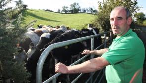 ICMSA say greater clarification needed on stamp duty transition arrangement   