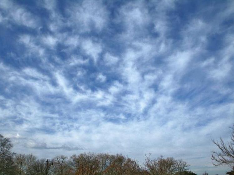 Weather set to get mild this week