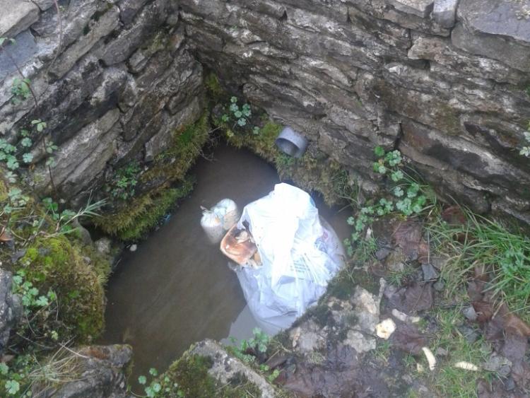 The scourge of illegal dumping in Co Leitrim