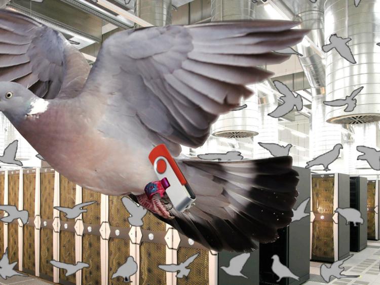 Yes, Leitrim really has some of the worst broadband coverage in the country