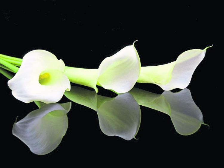 Deaths in Leitrim - April 12, 2017 - evening update