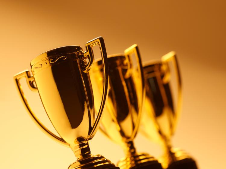 Leitrim County Council Awards