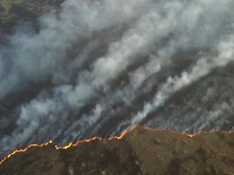 Gorse fire is under control