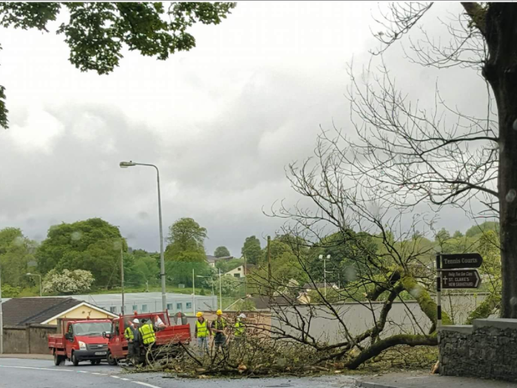 Tree down in Manorhamilton
