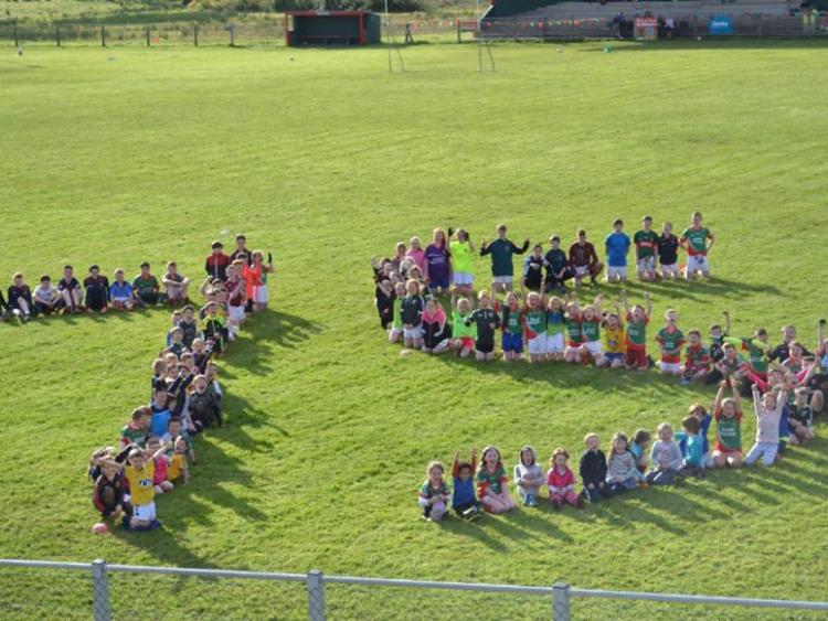 St Michael's GAA seek public support in 'Moments in Time' competition