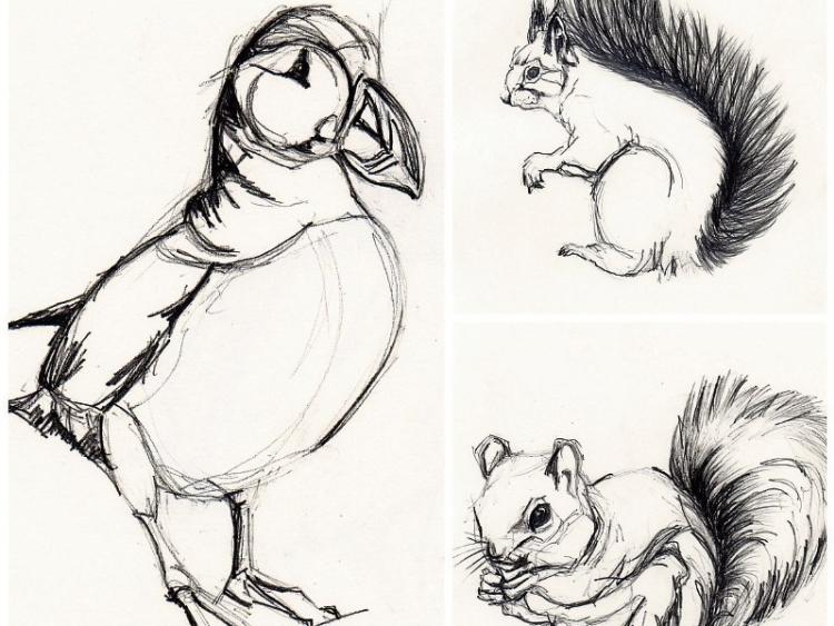 For the love of drawing at Leitrim Design House