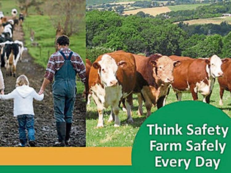 HSA to begin a month-long intensive farm inspection campaign 