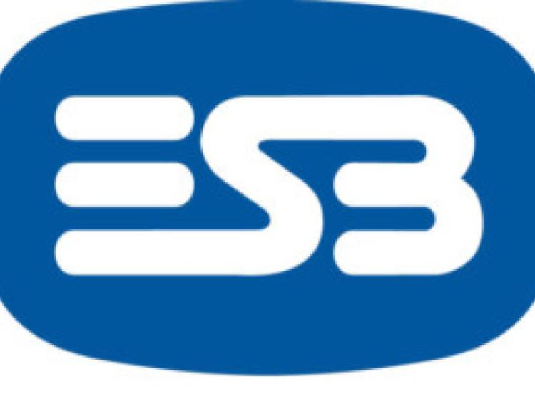 ESB awards over &euro;80,000 to local community groups 