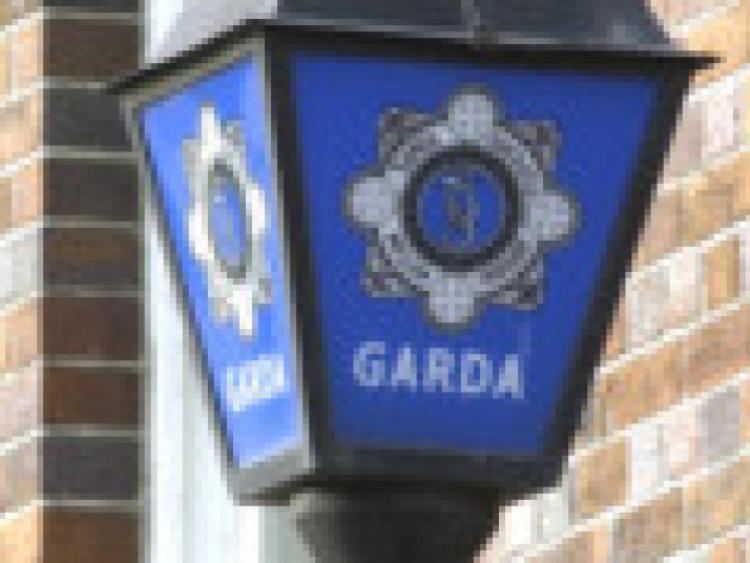 garda siochana