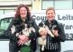 The Leitrim Animal Welfare Warden is looking for a good home for six eight week old pups