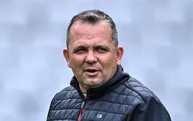 Davy Fitzgerald has stepped down from his coaching role with the Cork senior camogie side following their loss to Kilkenny in Sunday's Glen Dimplex All-Ireland senior final at Croke Park.