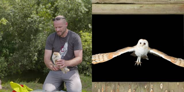(L) John Lusby of BirdWatch Ireland pictured with a barn owl by Peter Cutler. (R) Photo of a barn owl in flight by Mike Brown.