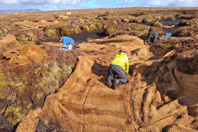 Farmers and researchers give historic bogs a new lease of life in Leitrim