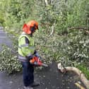 Clearing fallen trees poses a significant safety risk.