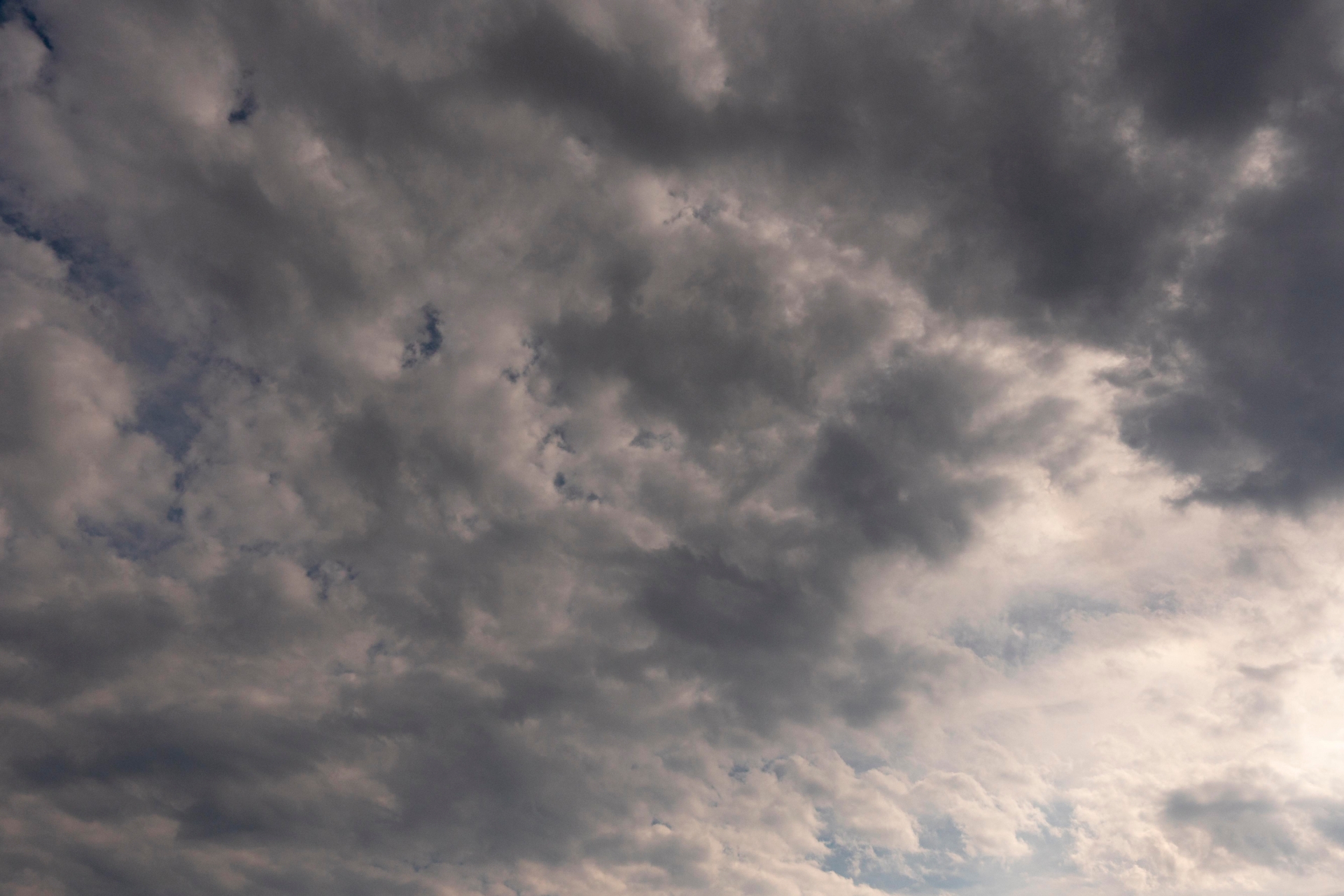 Blustery day with a mix of sunny spells and showers on Tuesday