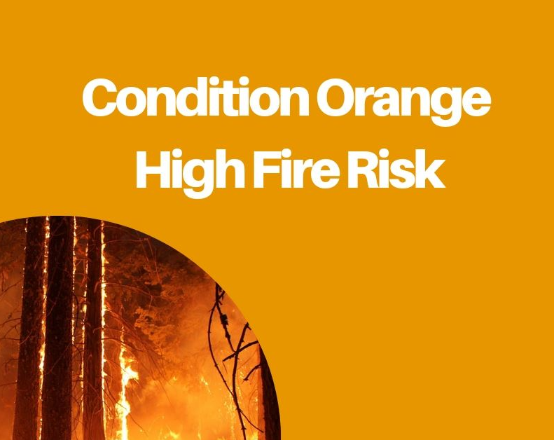Warning issued about high forest fire risk