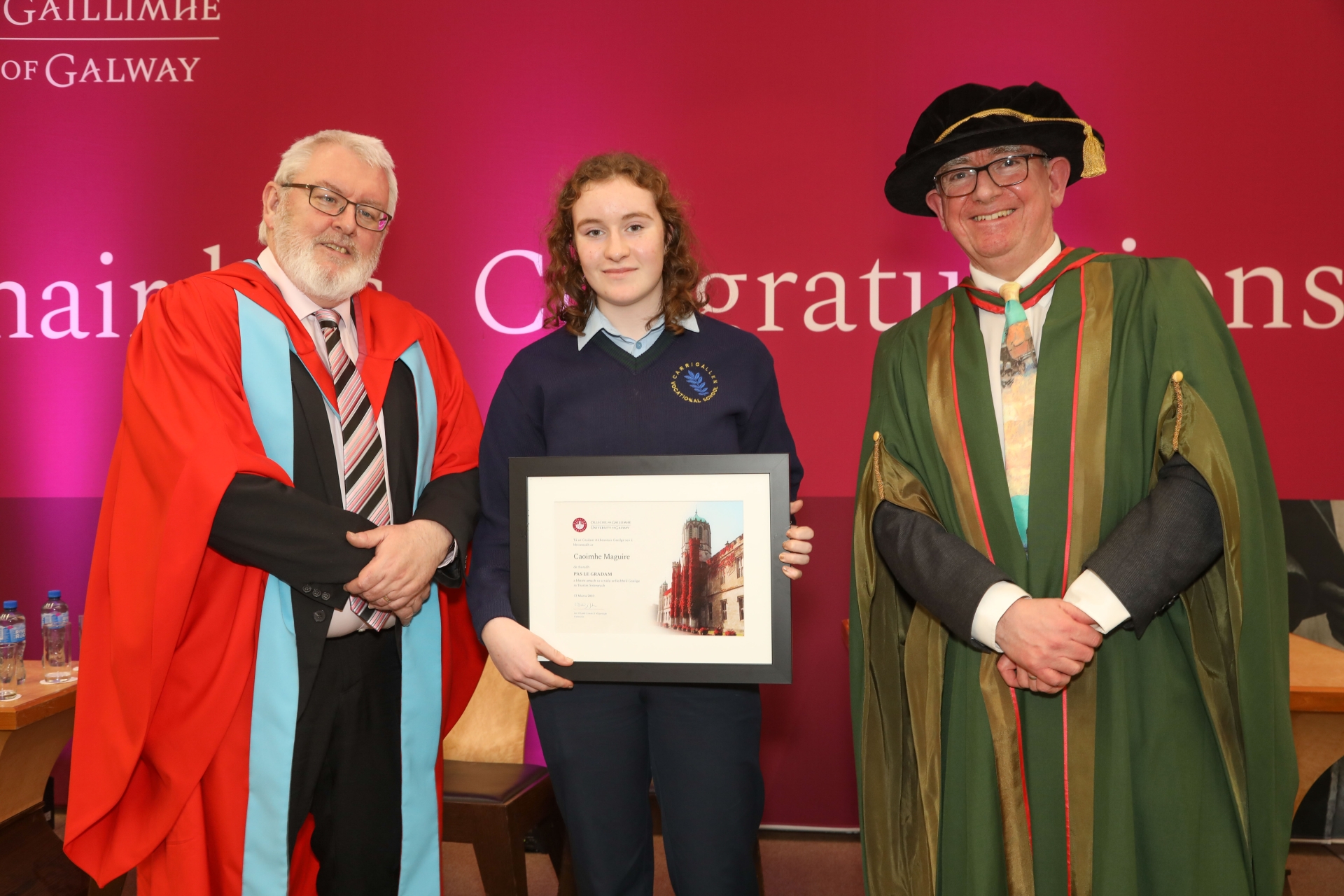 Junior Certificate students from Leitrim presented with Special Irish ...