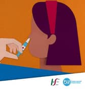 The nasal flu vaccine is available for 2-17 year olds