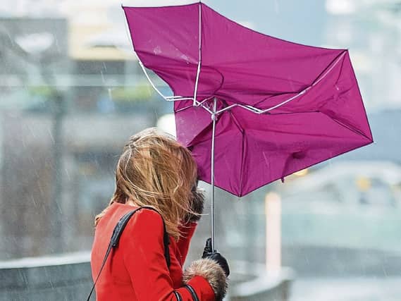 WEATHER: Today's forecast (December 29)