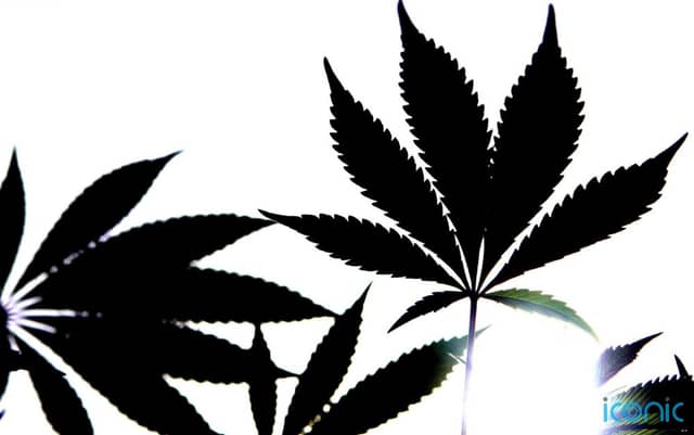 But they may not be at increased risk of other mental health problems related to the drug, researchers found