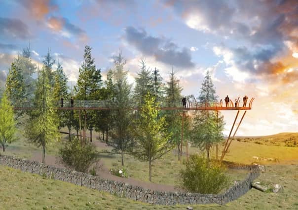 Artist impression of the elevated walkway at the Cavan Burren