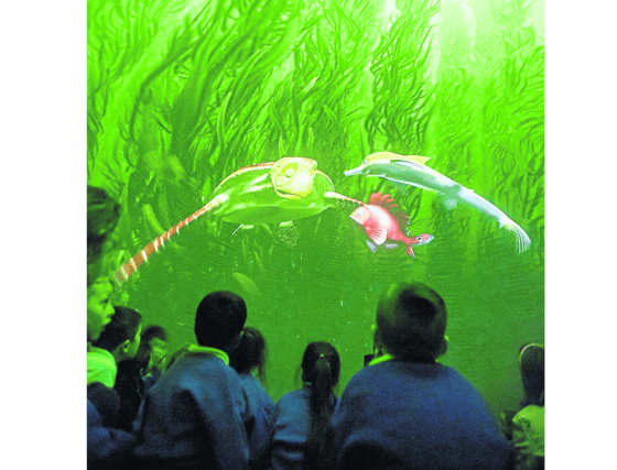 Exploration Dome at Mohill Family Life Centre on June 11 from 12-4pm
