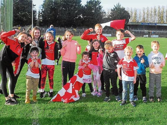 Some of the delighted Ballinaglera supporters celebrating their victory in the Intermediate Championship Semi-Finals, a reminder of what sport should be all about Picture: Willie Donnellan