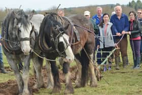 The Roscommon Ploughing championship is on this Saturday.