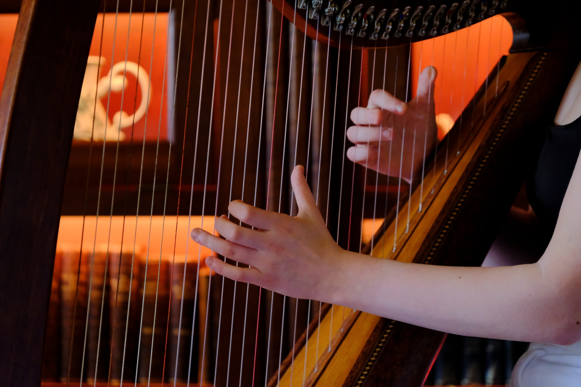 Award-winning harp star to headline O’Carolan Festival concert