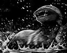 Terence was forced to flee with the animal in pursuit.