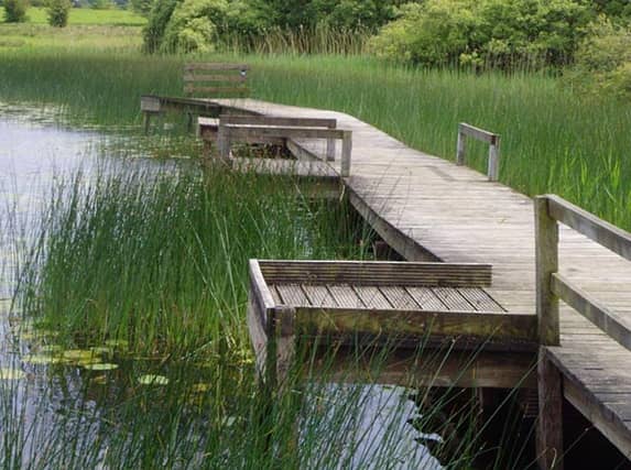 Projects eligible for funding include abled and disabled friendly angling stands.