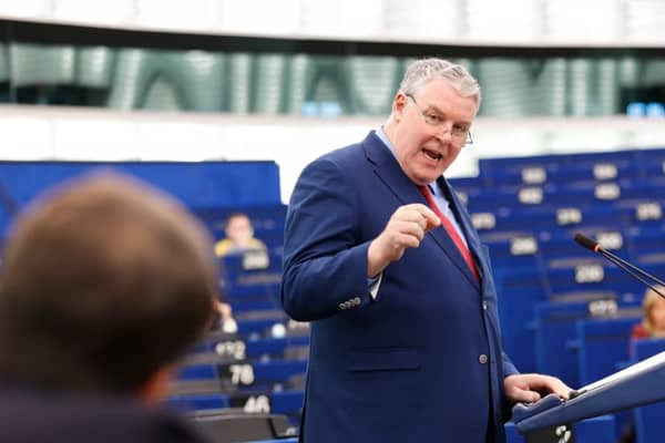 Ciaran Mullooly is pictured speaking at the plenary debate in Strasbourg
