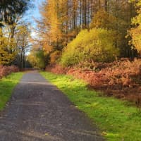 Greenway plans in Leitrim prompt concerns over division of land