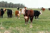 3,187 Leitrim farmers will receive payments this week.