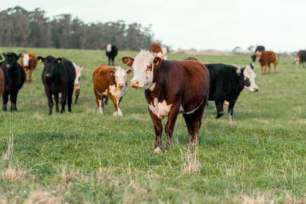 3,187 Leitrim farmers will receive payments this week.