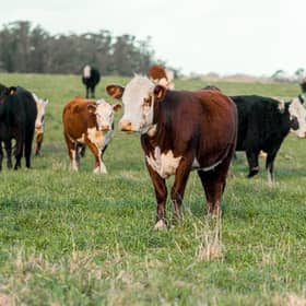 3,187 Leitrim farmers will receive payments this week.