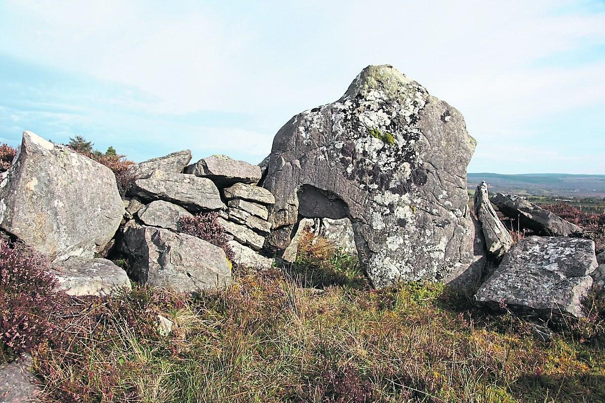 Learn about Living in a Leitrim Landscape - Leitrim Observer