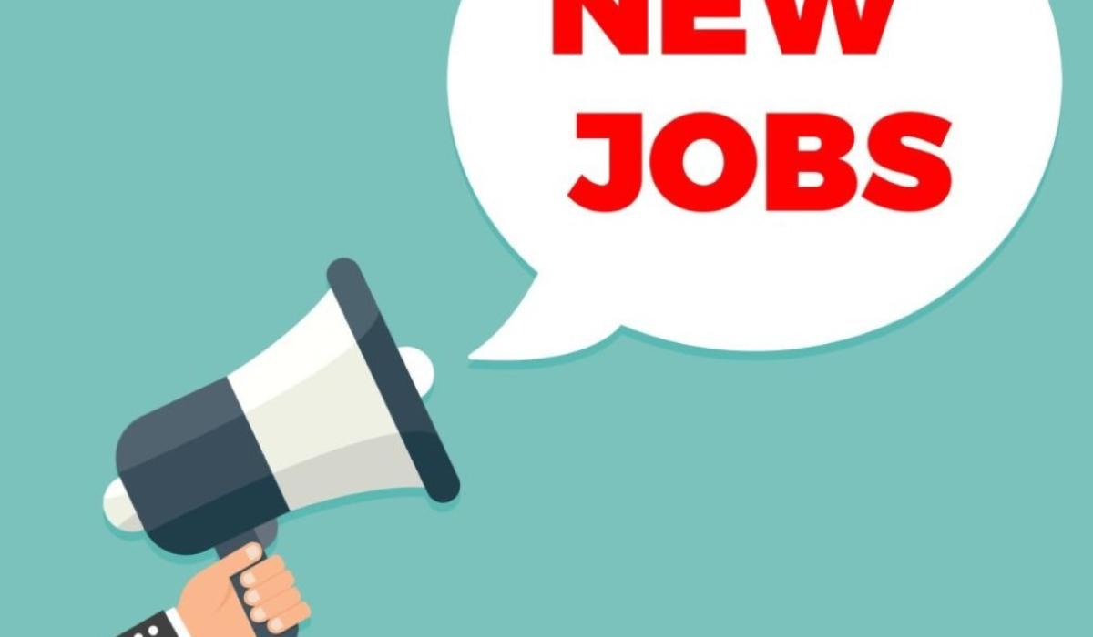 Looking for a job Cross Border Jobs Fair being held today in Cavan