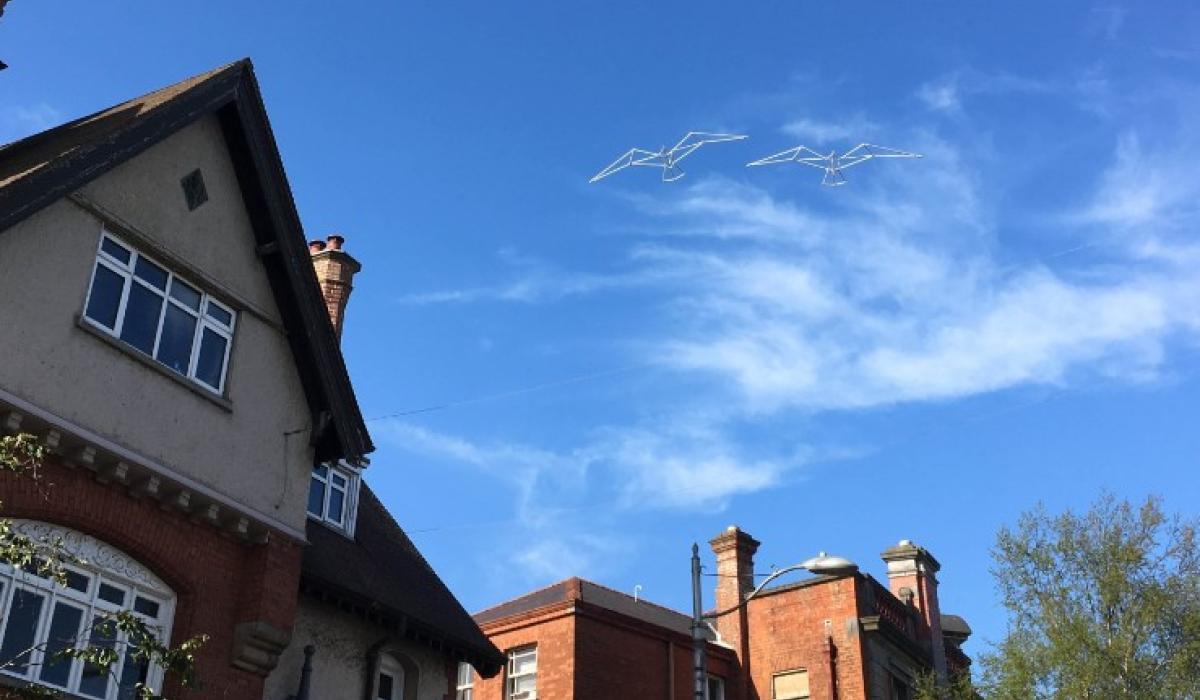 White Birds Fly installation launched in Sligo ahead of Yeats Day