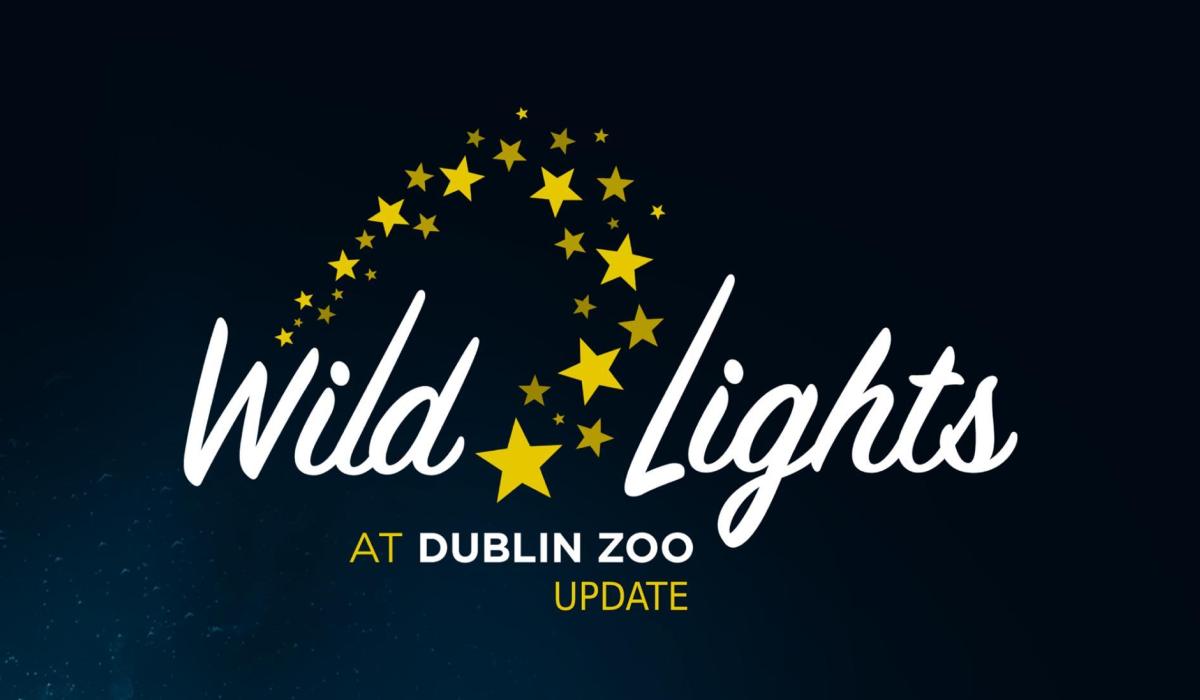 Dublin Zoo Wild Lights experience cancelled for 2020 Leitrim Live