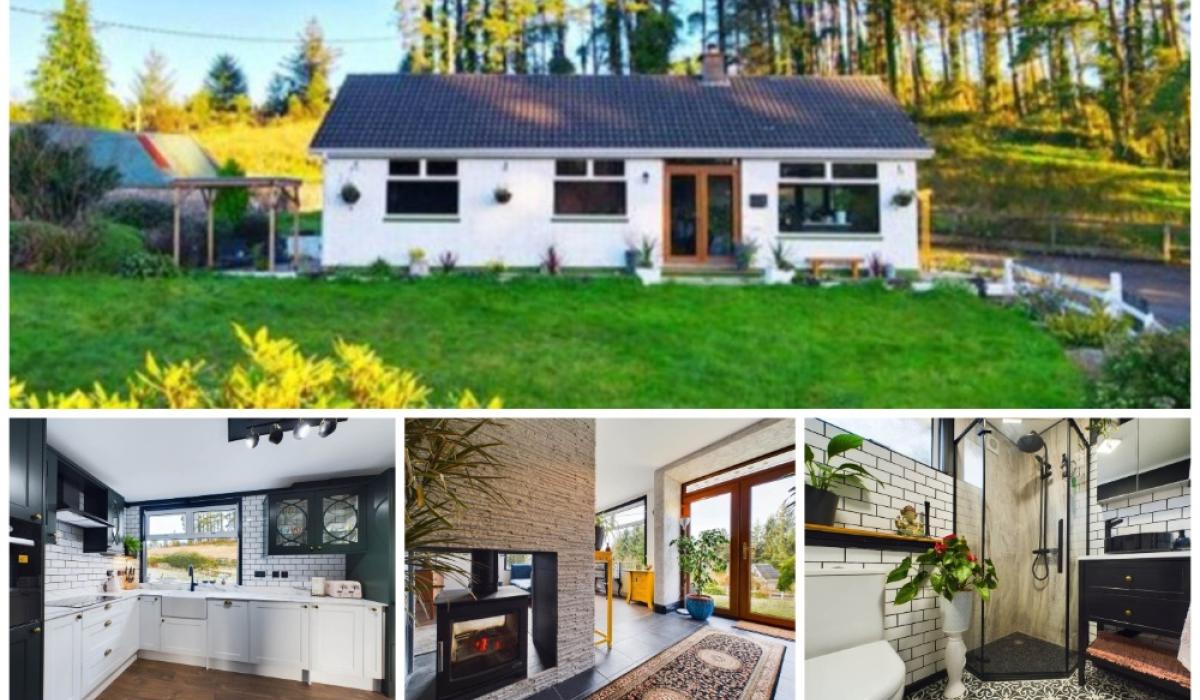 PICTURES Unassuming Leitrim home with Home of the Year interior on the market for €220k Page