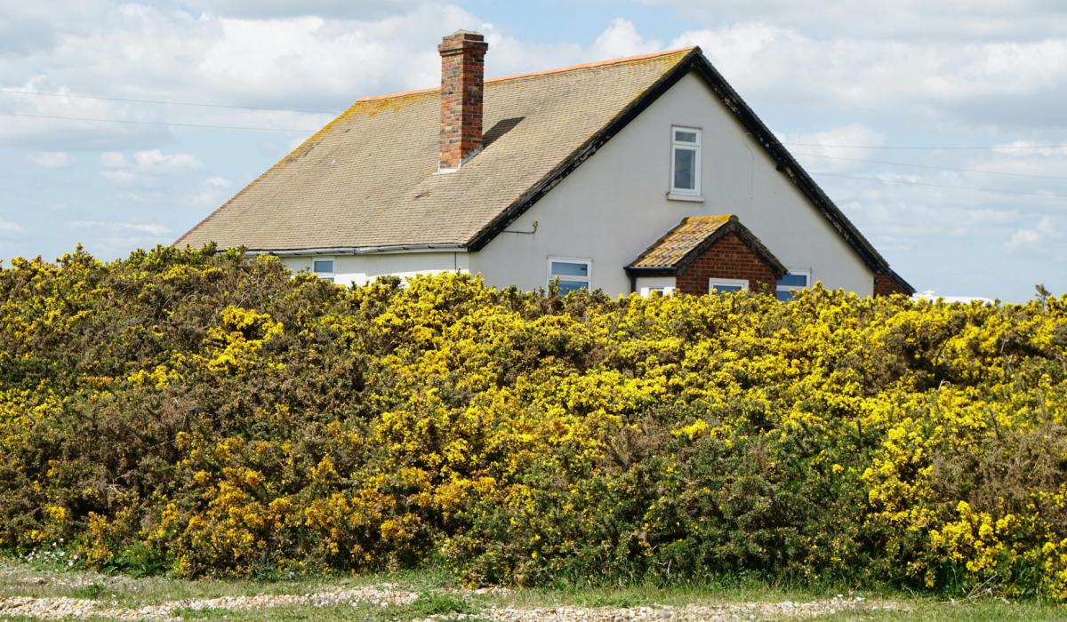 Councillor calls for 1,000 tax on holiday homes to support rural Leitrim - Leitrim Live