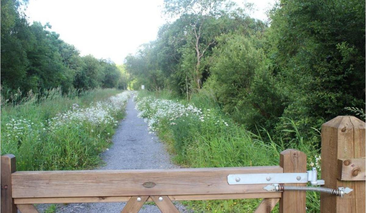 Additional lighting sought for walking area in Leitrim 
