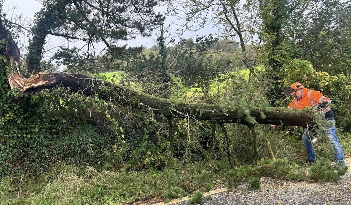 Customers in Leitrim to remain without power until tomorrow evening following Storm Amy damage