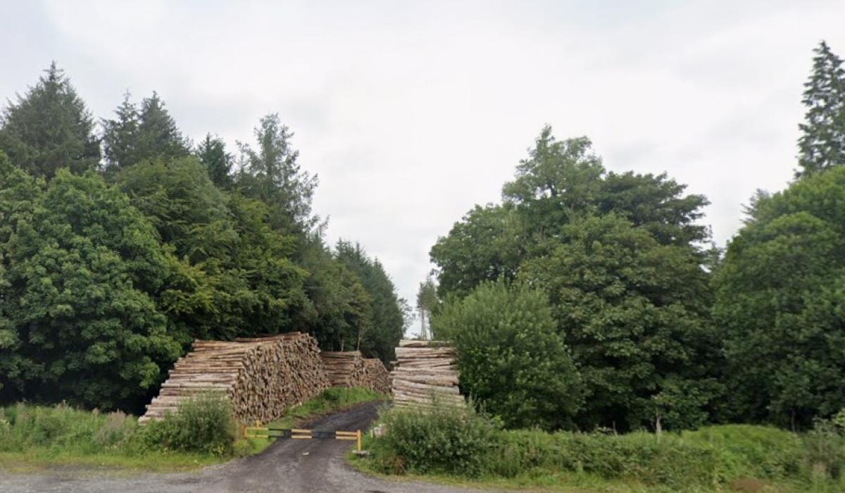 Coillte and councillors discuss vision for first-of-its-kind amenity in North Leitrim village