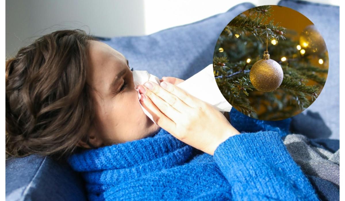 Health expert warns common Christmas items found in Irish households can make you sick