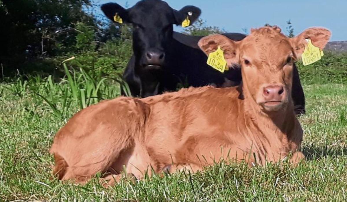 Leitrim farmers need 'copper-fastened guarantee that we will be compensated'