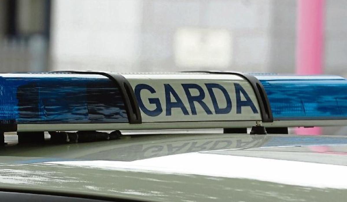 Two arrested in Garda crackdown into over 40 theft and deception incidents across Ireland
