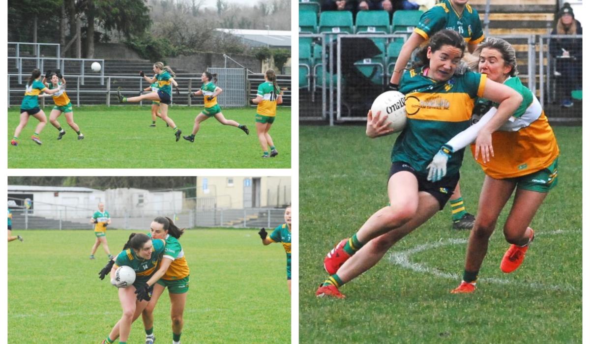 GALLERY: Leitrim take late win against Offaly